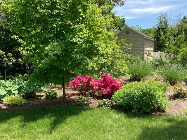 a picture of street view