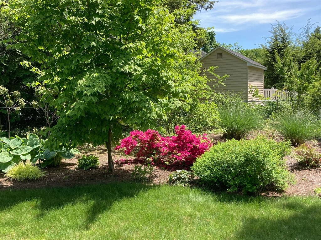361 Frank Smith Road Longmeadow, MA 01106 - Photo 39 of 42 a view of a house with a big yard and potted plants