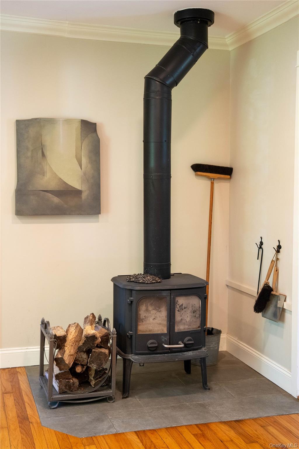 46 Schoonmaker Lane Stone Ridge, NY 12484 - Photo 9 of 28 Active woodstove with liner