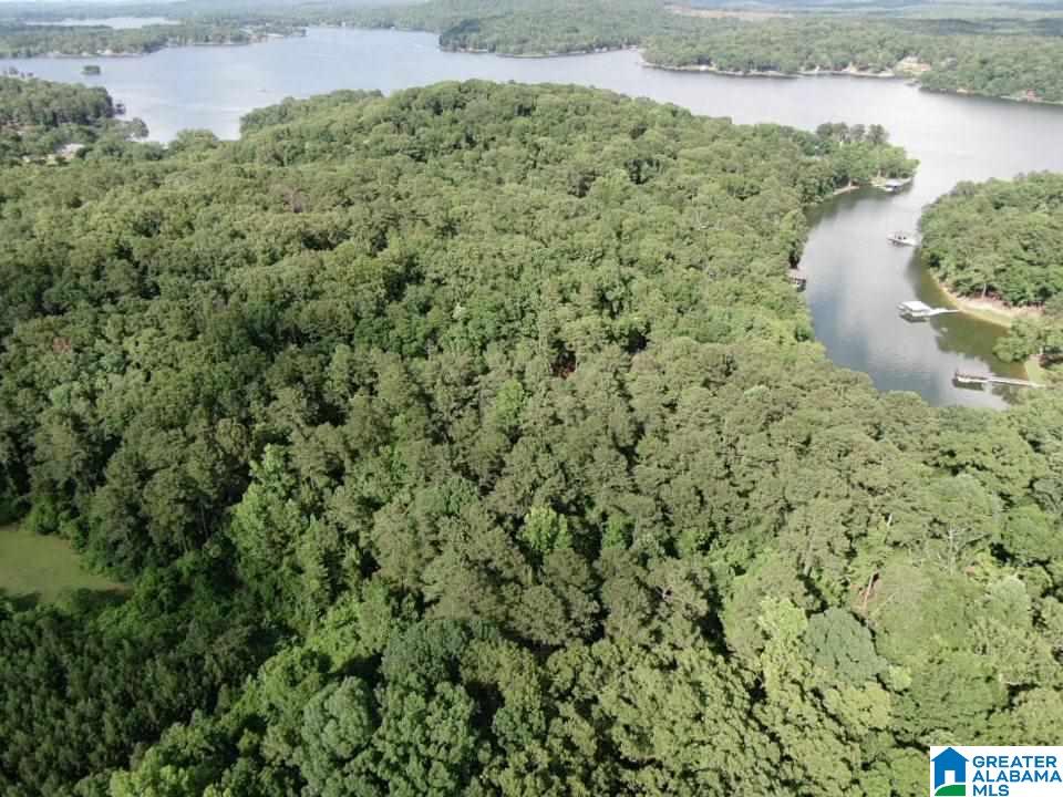 620 Black Acres Road Cropwell, AL 35054 - Photo 6 of 44