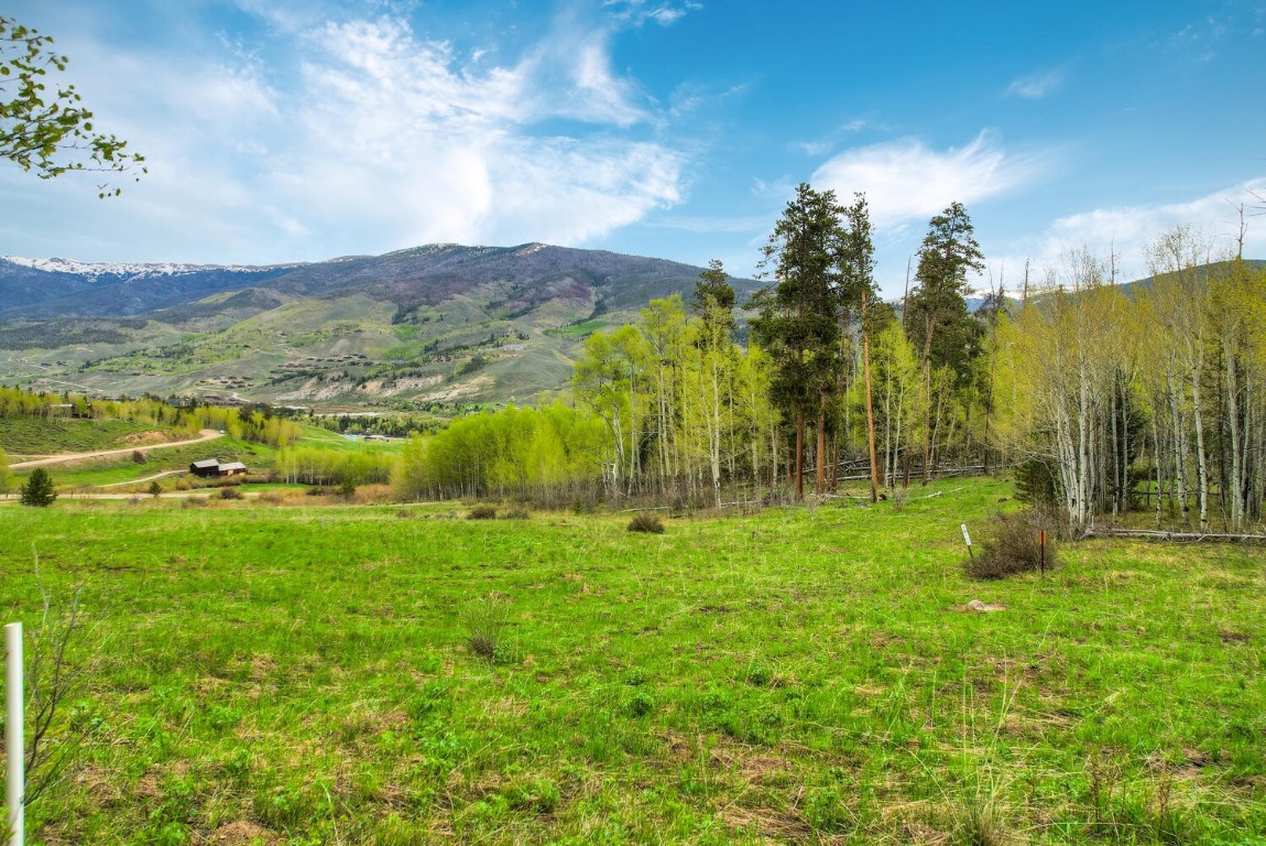 1672 South Ruby Road Silverthorne, CO 80498 - Photo 14 of 27 a view of an outdoor space and a yard