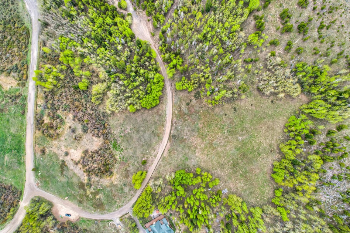 1672 South Ruby Road Silverthorne, CO 80498 - Photo 2 of 27 a close up of a plant in a garden