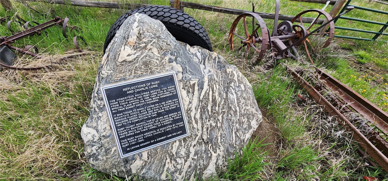 1672 South Ruby Road Silverthorne, CO 80498 - Photo 6 of 27 a view of a yard with plants