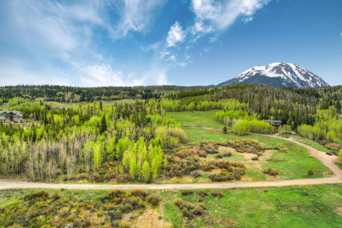 1672 South Ruby Road Silverthorne, CO 80498 - Photo 7 of 27 a view of a yard