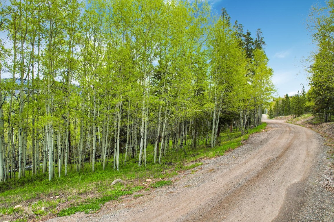 1672 South Ruby Road Silverthorne, CO 80498 - Photo 10 of 27 a view of a street with a building in the background
