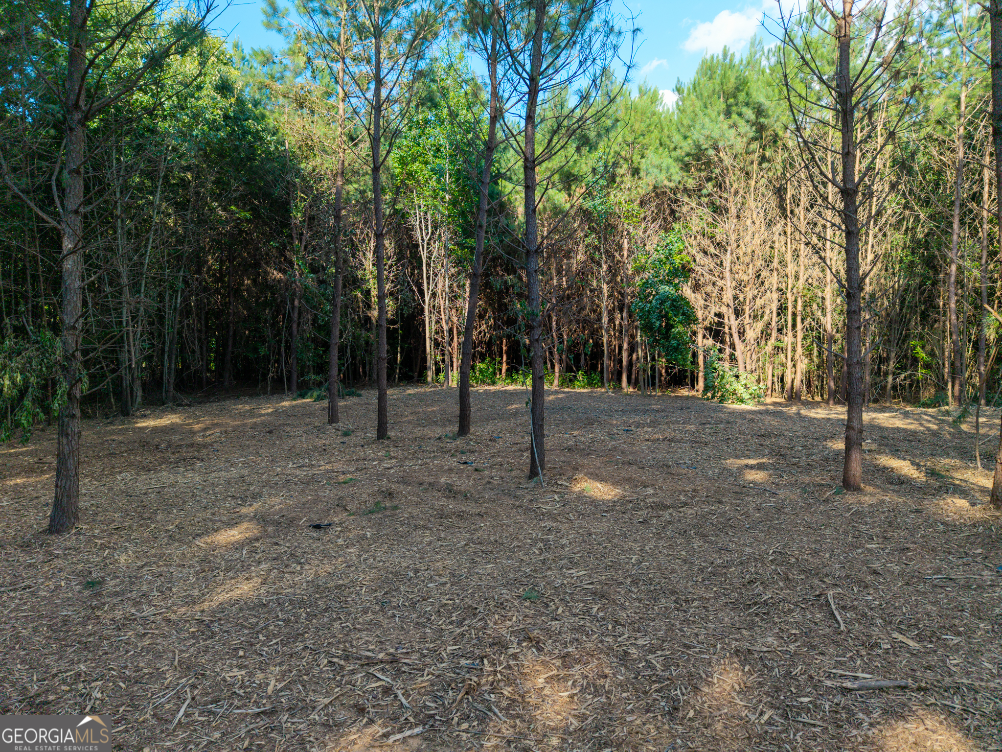 0 Hair Lake Road Summerville, GA 30747 - Photo 22 of 28