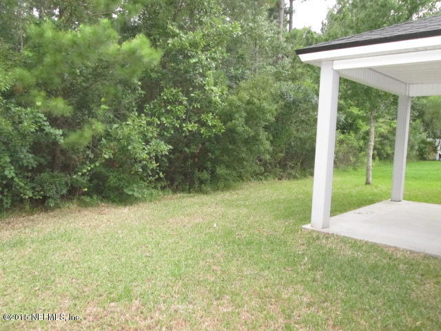 3994 Trail Ridge Road Middleburg, FL 32068 - Photo 15 of 15 Backyard