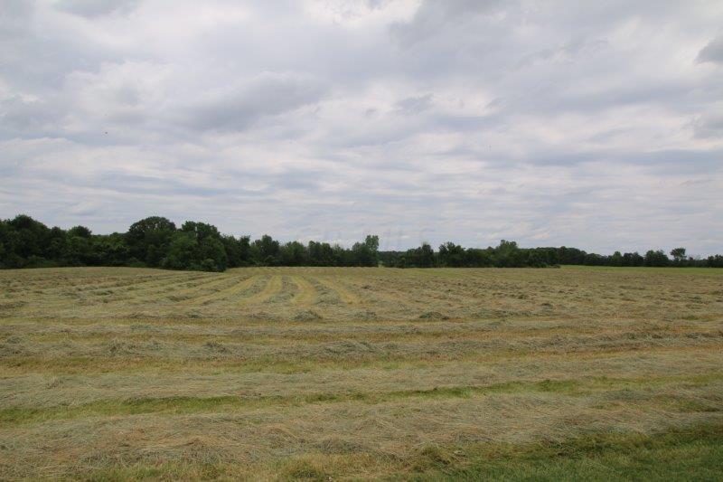 5629 Giehl Road Delaware, OH 43015 - Photo 23 of 51 Gallery Image 23