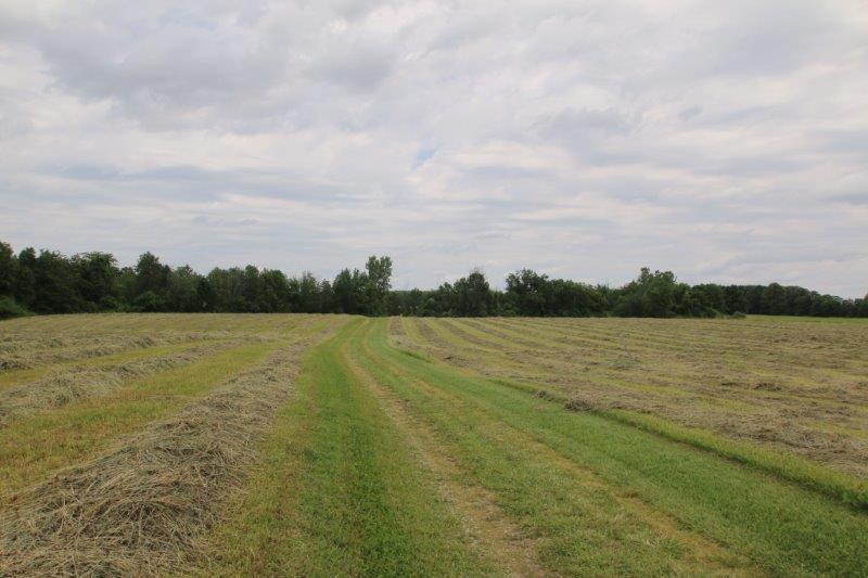 5629 Giehl Road Delaware, OH 43015 - Photo 24 of 51 Gallery Image 24