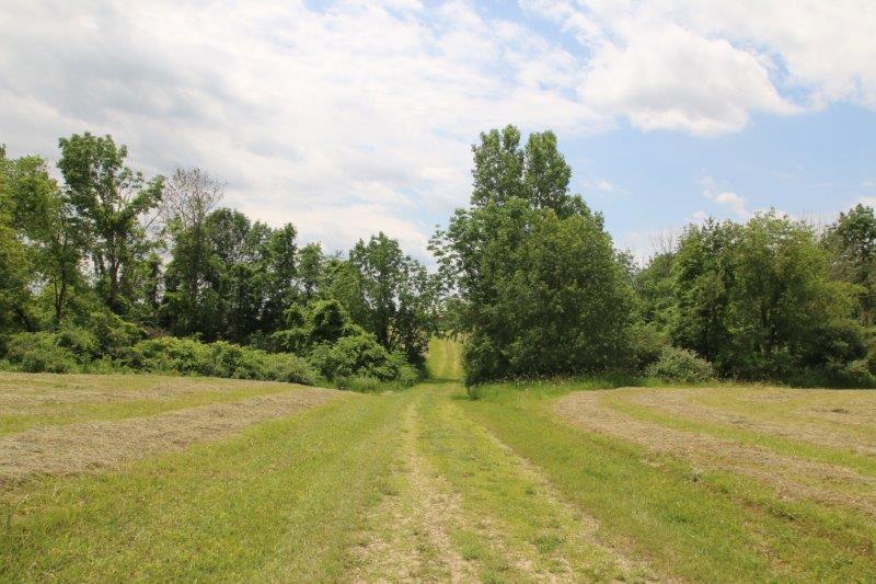 5629 Giehl Road Delaware, OH 43015 - Photo 26 of 51 Gallery Image 26
