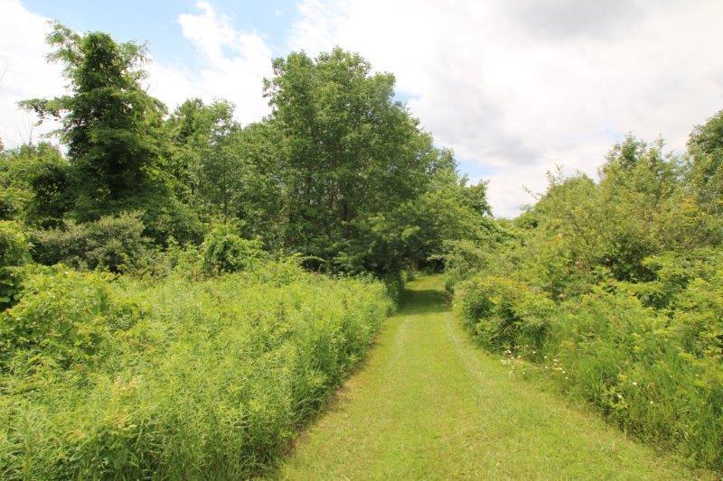 5629 Giehl Road Delaware, OH 43015 - Photo 27 of 51 Gallery Image 27