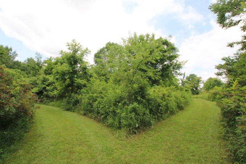 5629 Giehl Road Delaware, OH 43015 - Photo 28 of 51 Gallery Image 28