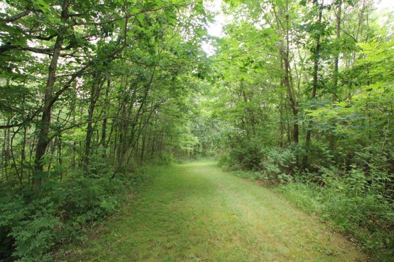 5629 Giehl Road Delaware, OH 43015 - Photo 34 of 51 Gallery Image 34
