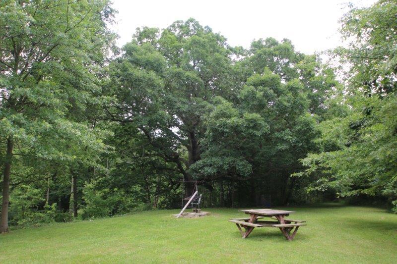 5629 Giehl Road Delaware, OH 43015 - Photo 35 of 51 Gallery Image 35
