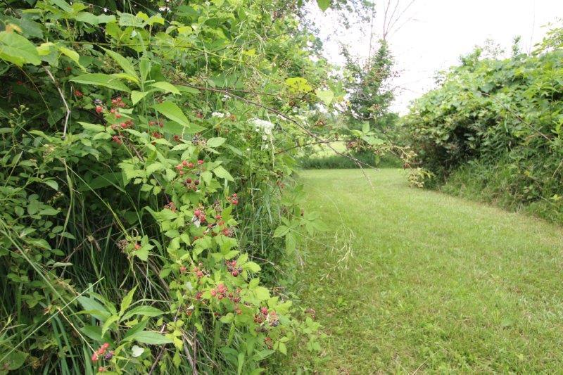5629 Giehl Road Delaware, OH 43015 - Photo 36 of 51 Gallery Image 36