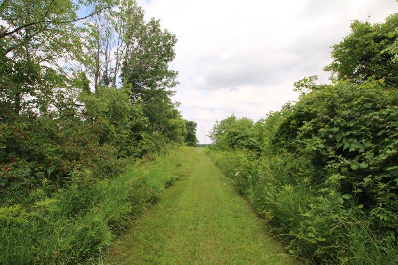 5629 Giehl Road Delaware, OH 43015 - Photo 37 of 51 Gallery Image 37