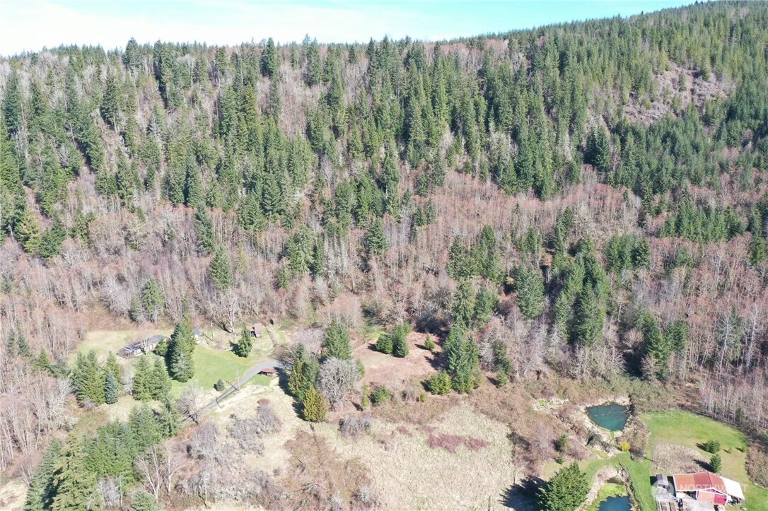 352-16 Larson Road Silver Creek, WA 98585 - Photo 6 of 9