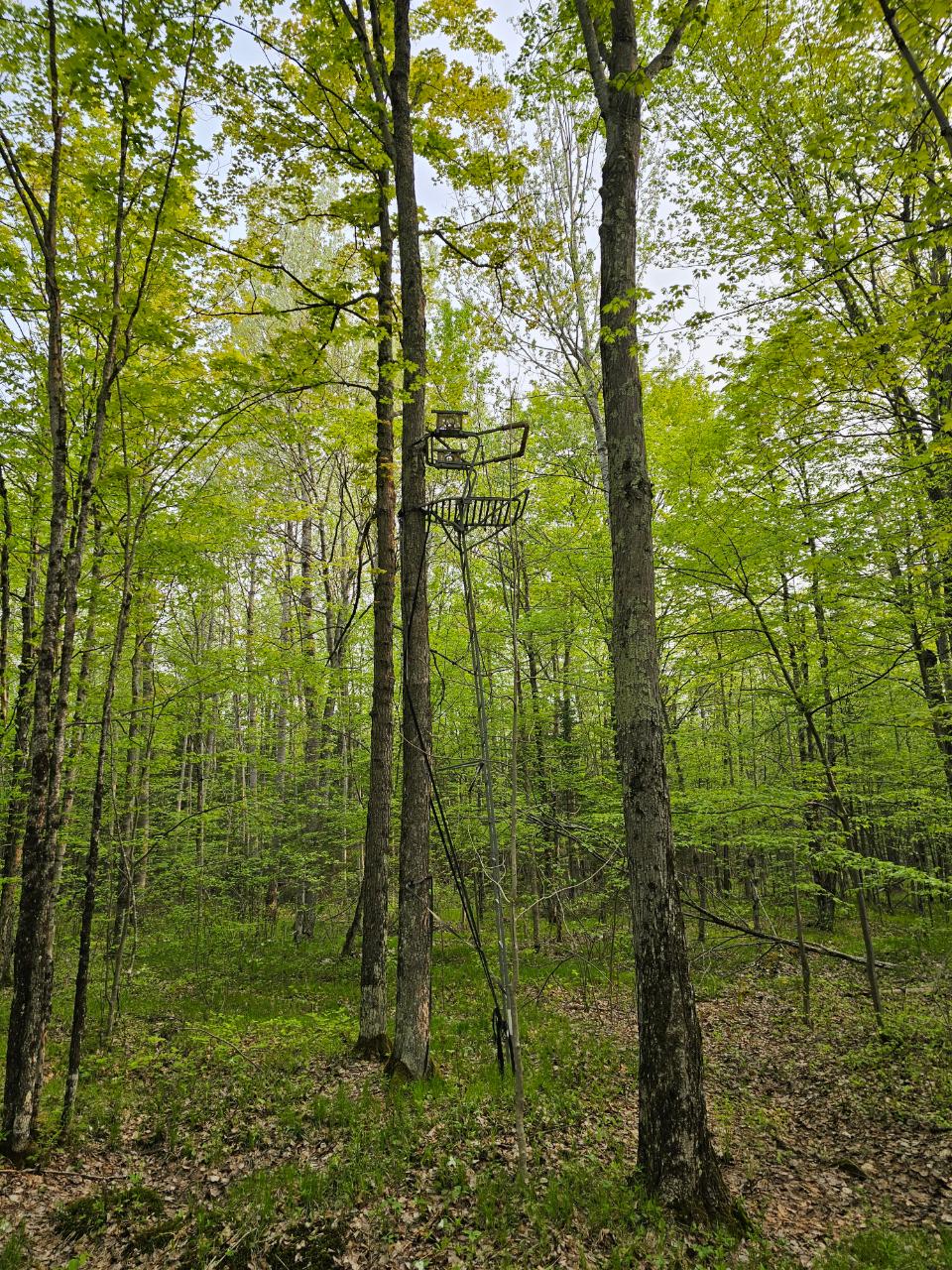 Lot 11 Eagle Waters Road Rhinelander, WI 54501 - Photo 18 of 30 Gallery Image 18
