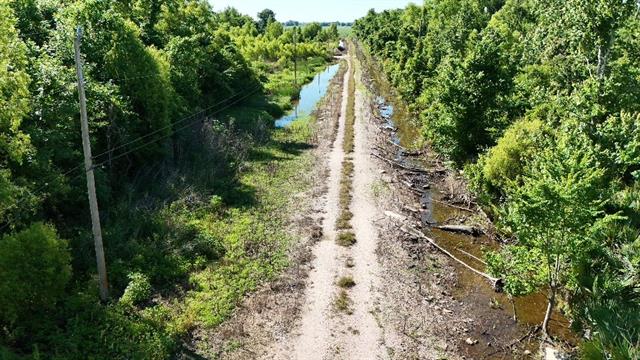 2812 Falcon Ct Road Paulina, LA 70763 - Photo 11 of 11