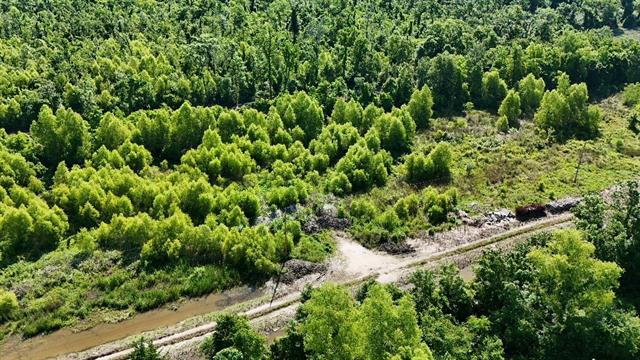2812 Falcon Ct Road Paulina, LA 70763 - Photo 7 of 11