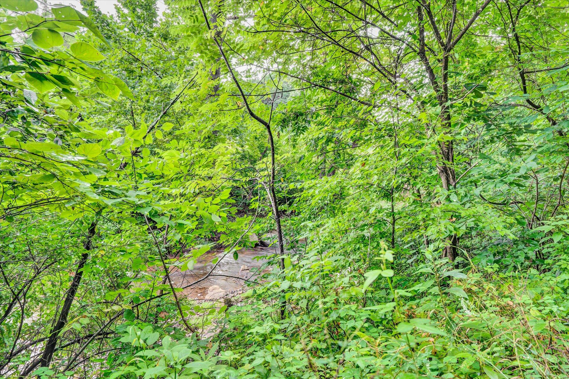 5849 Ripplebrook Road Roanoke, VA 24018 - Photo 17 of 19 18-DSC6296