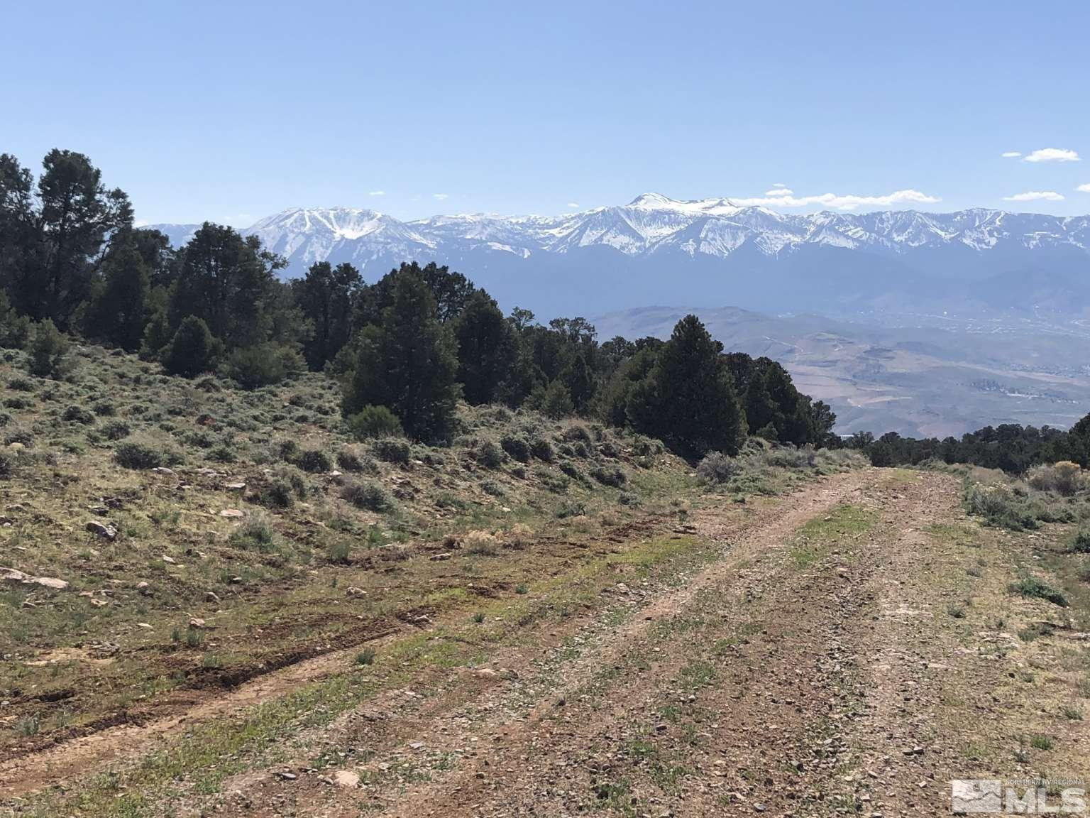 2940 Union Road Reno, NV 89521 - Photo 20 of 35 a view of a yard with a mountain in the background