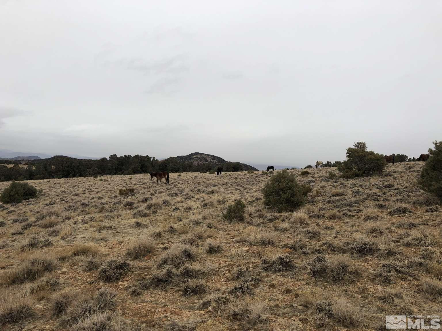 2940 Union Road Reno, NV 89521 - Photo 31 of 35 a view of ocean