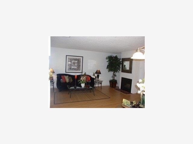 4794 Raspberry Place San Jose, CA 95129 - Photo 1 of 9 Gallery Image 1