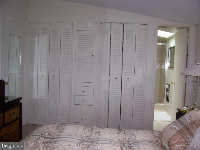 912 Hyde Road Silver Spring, MD 20902 - Photo 11 of 18 Wall of closets & drawers, vaulted ceiling