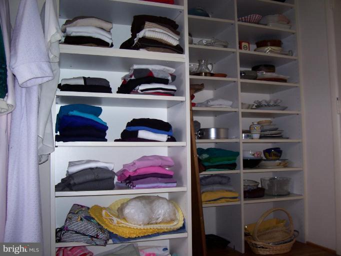 912 Hyde Road Silver Spring, MD 20902 - Photo 3 of 18 More storage in walk-in closet