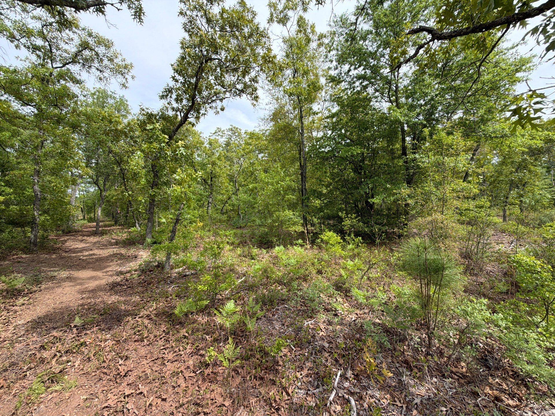 1 Rogers Cemetery Road, Unit RRF 1 Salley, SC 29137 - Photo 31 of 40