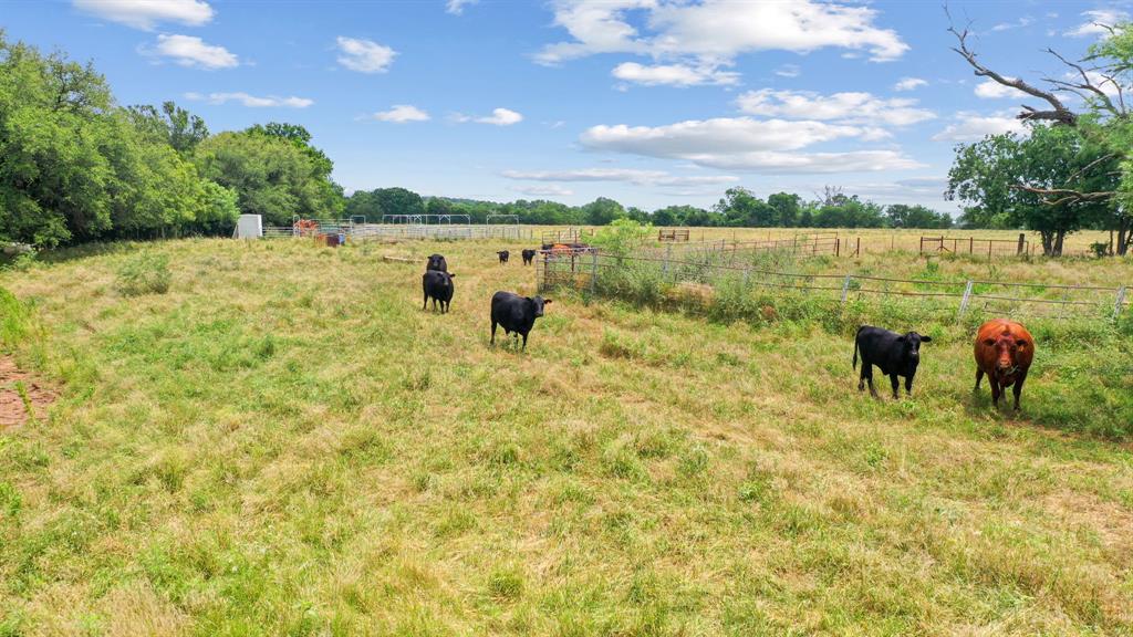 Tbd Goen Road Millsap, TX 76066 - Photo 12 of 26