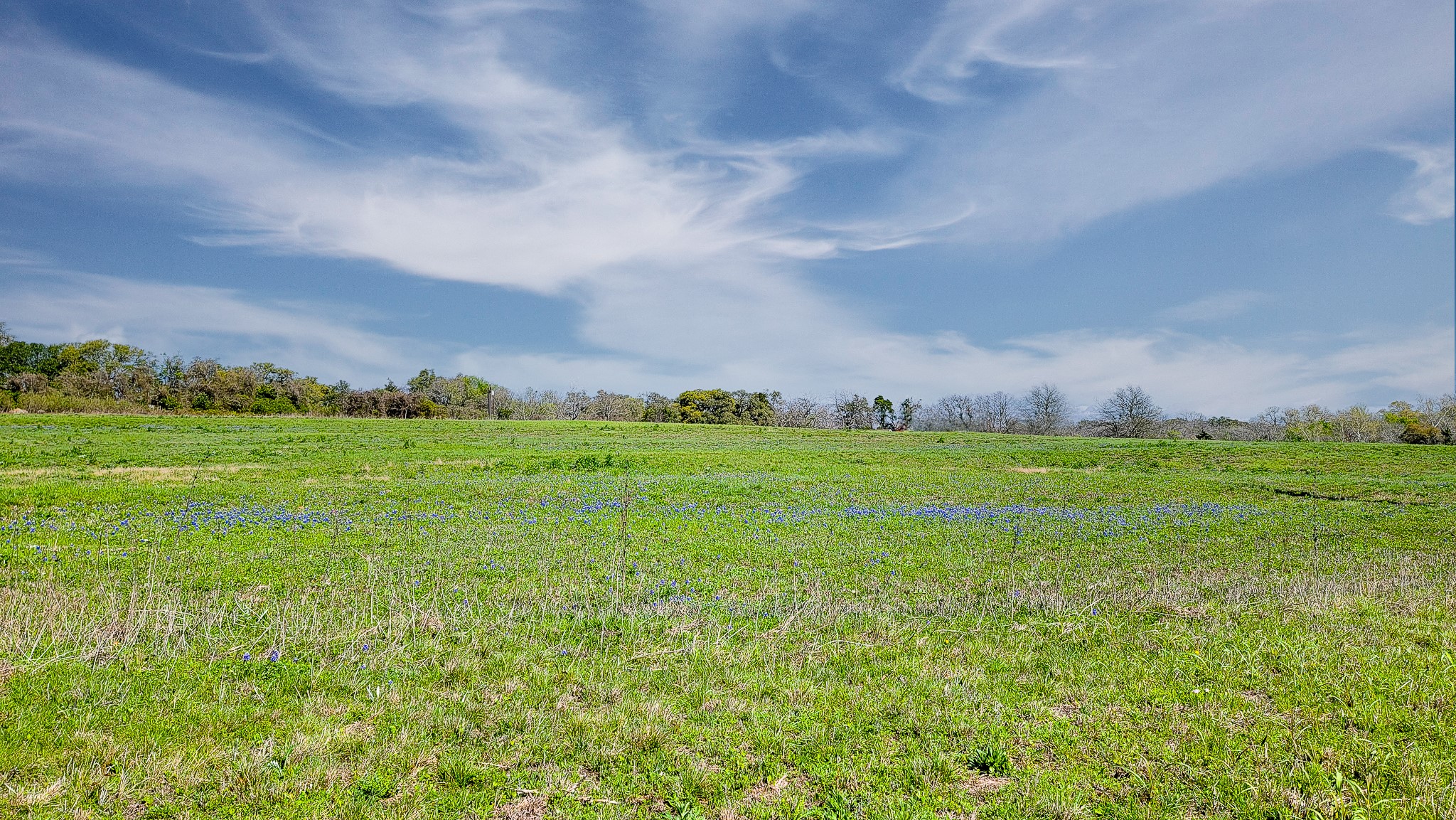 655 Farmers Road Brenham, TX 77833 - Photo 35 of 36