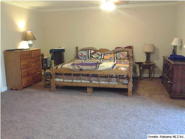 200 Collins Road Wilsonville, AL 35186 - Photo 11 of 25