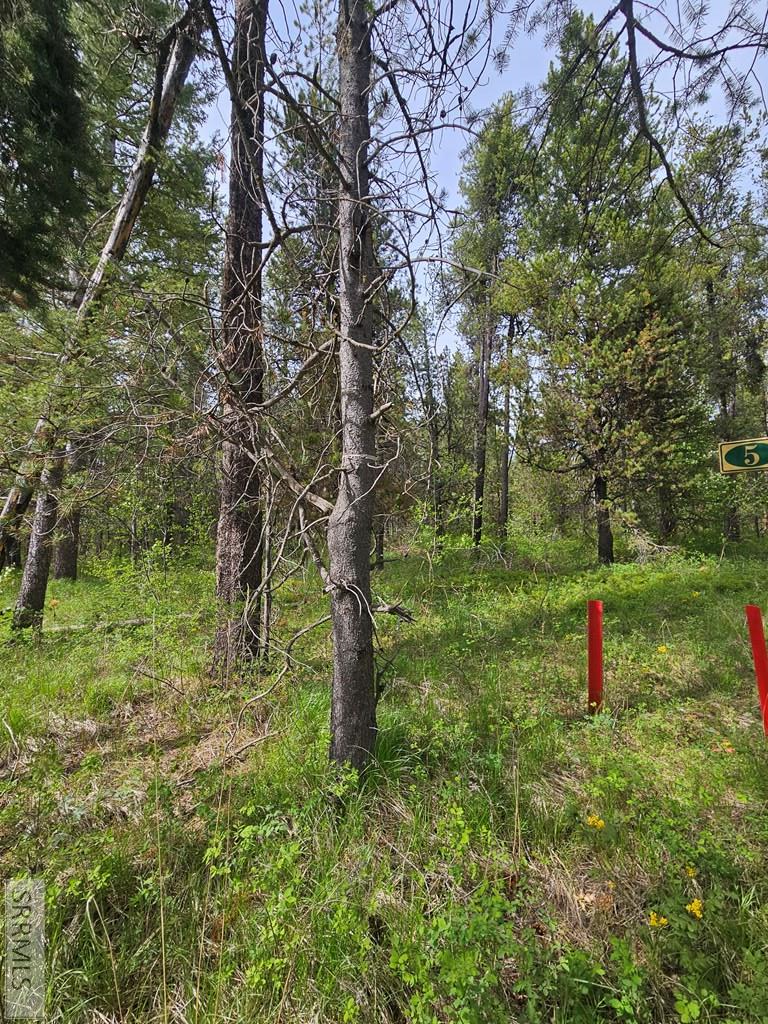 1537 Shadow Run Ashton, ID 83420 - Photo 3 of 22