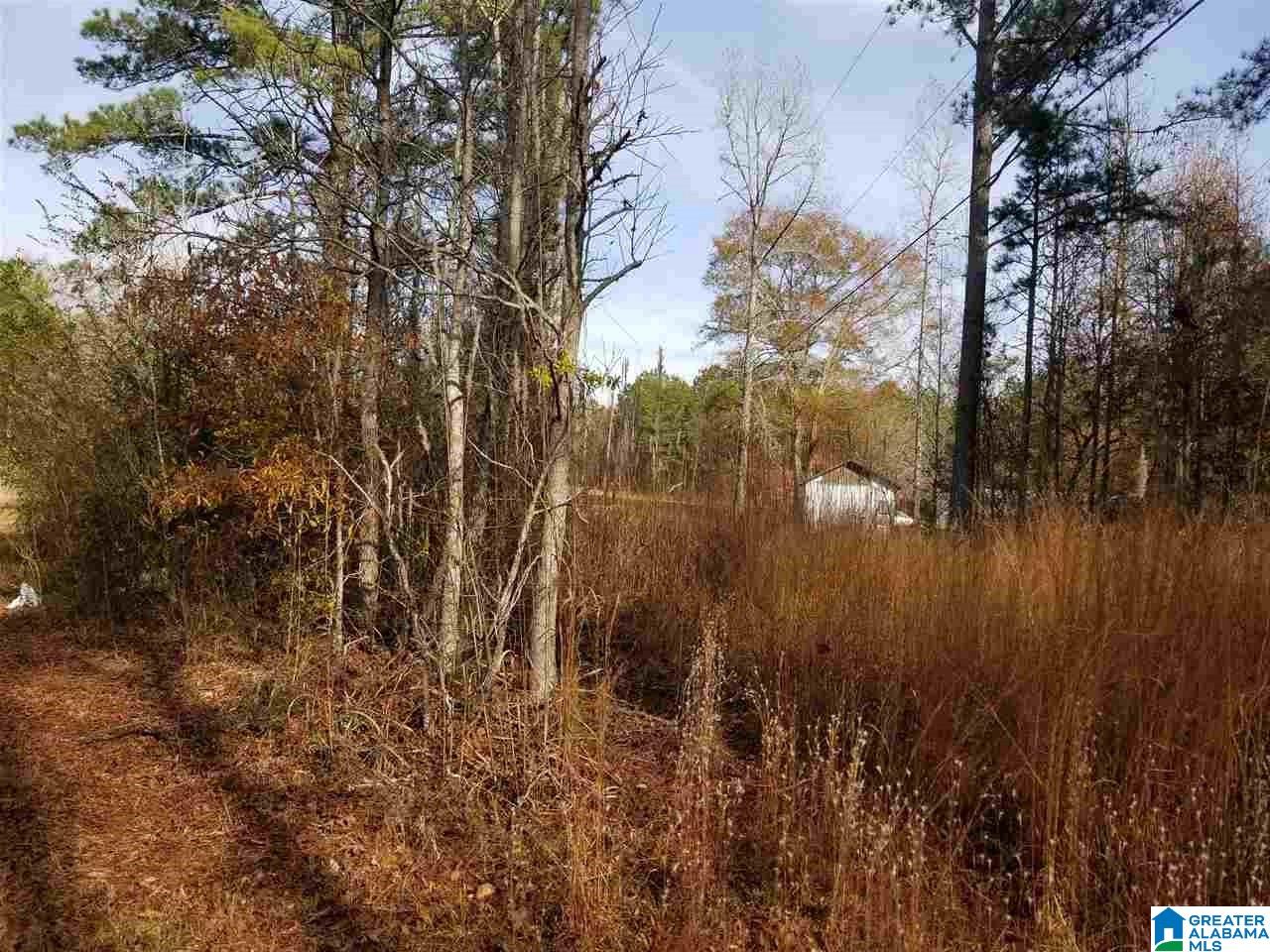 0 Old Creek Road, Unit 1 Ohatchee, AL 36271 - Photo 4 of 8