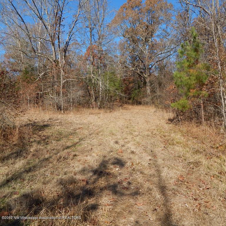 832 Haire Road Batesville, MS 38606 - Photo 54 of 67 Haire Rd 095