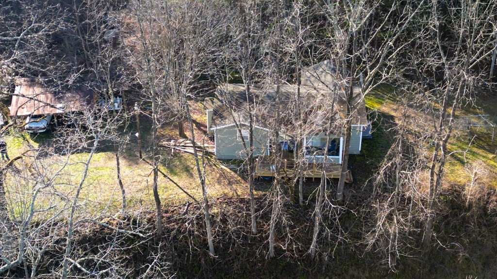 7356 Snowbird Road Robbinsville, NC 28771 - Photo 31 of 45 Gallery Image 31