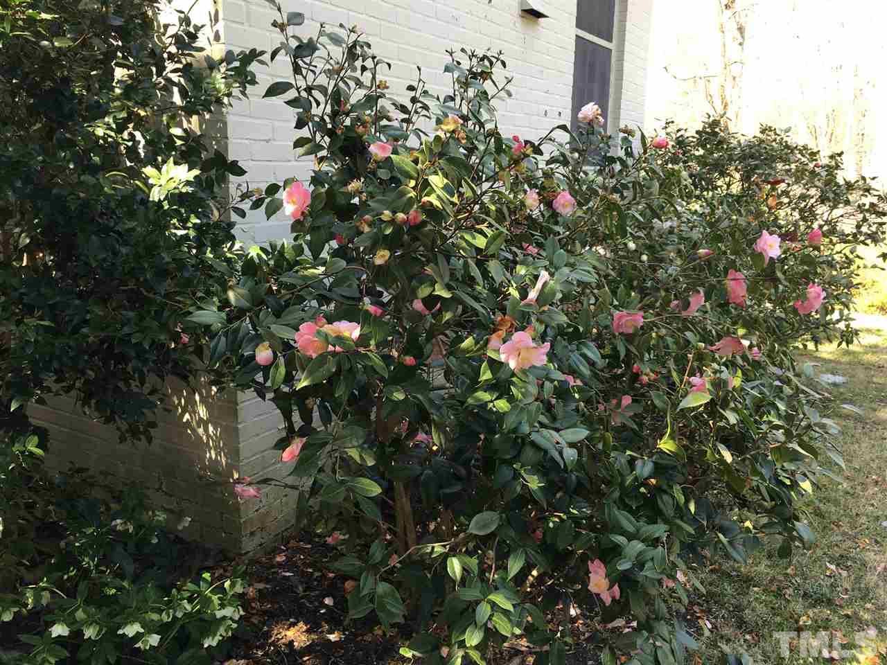 7 Sylvan Road Durham, NC 27701 - Photo 19 of 25