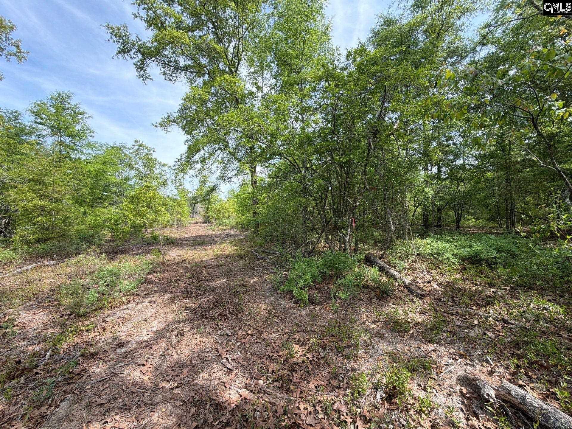 2 Rogers Cemetery Road Aiken, SC 29801 - Photo 12 of 26