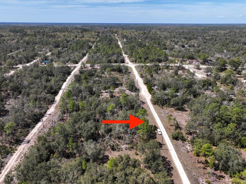 Northeast 65th Street Williston, FL 32696 - Photo 5 of 13