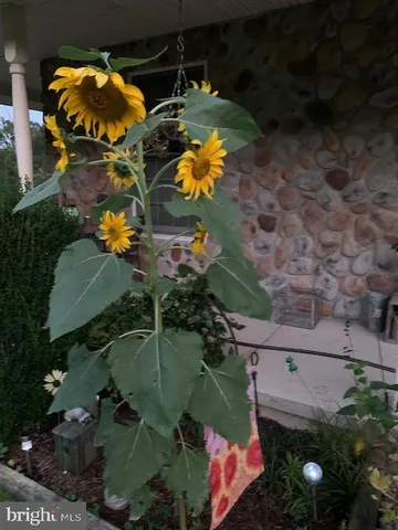 $375,000 | 5990 Highway 522, McVeytown, PA 17051