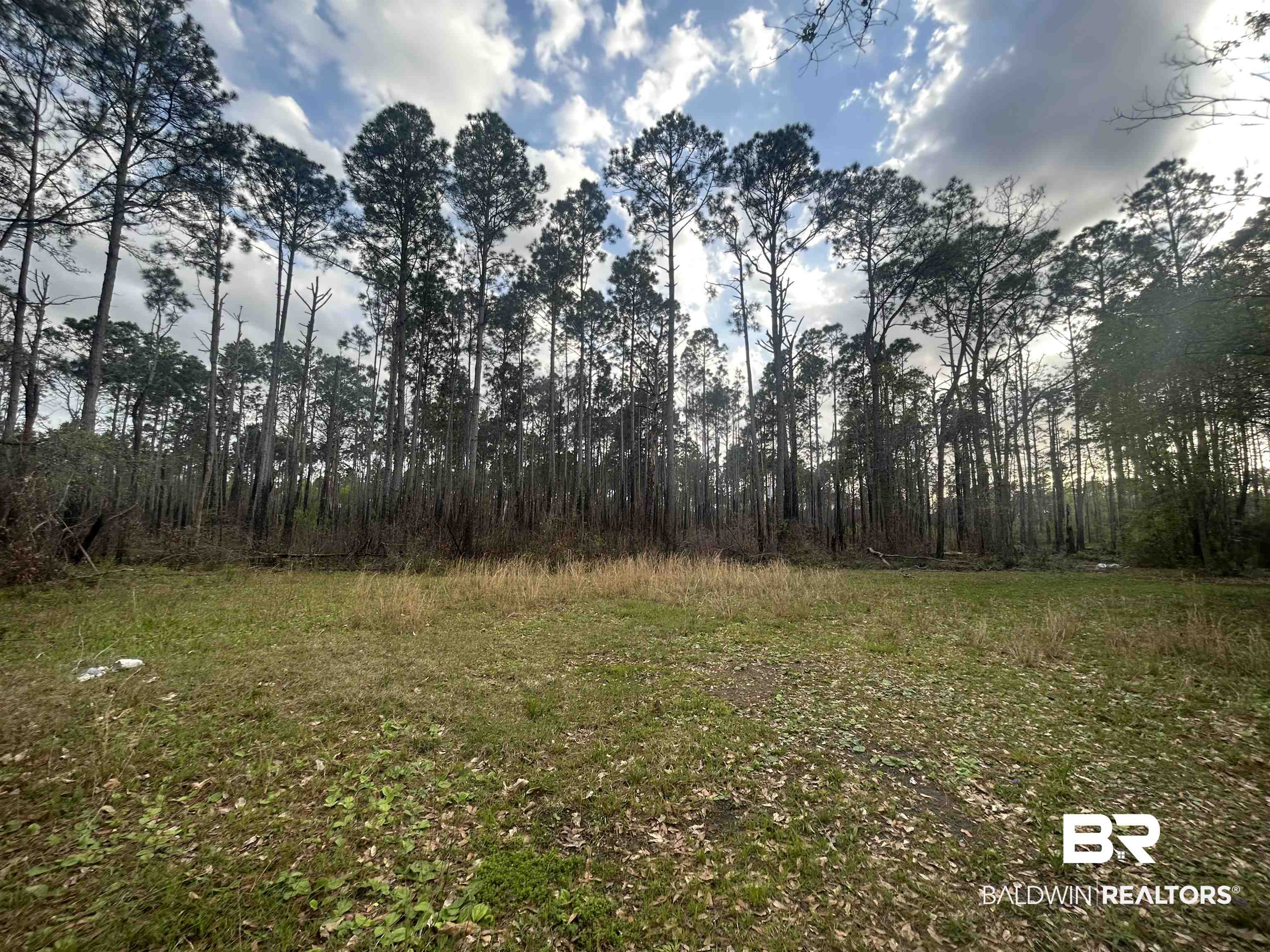 5451 Deakle Road Theodore, AL 36582 - Photo 2 of 11