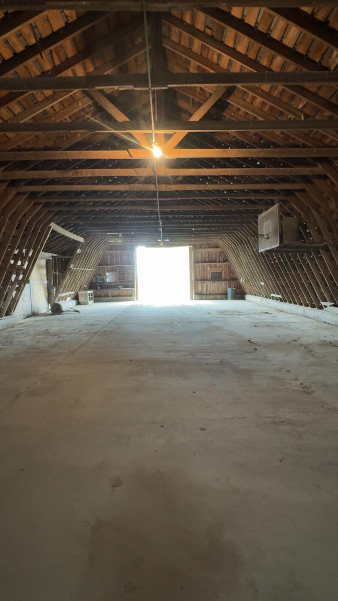 7755 McAlpin Road Owendale, MI 48754 - Photo 50 of 55 IMG_3909