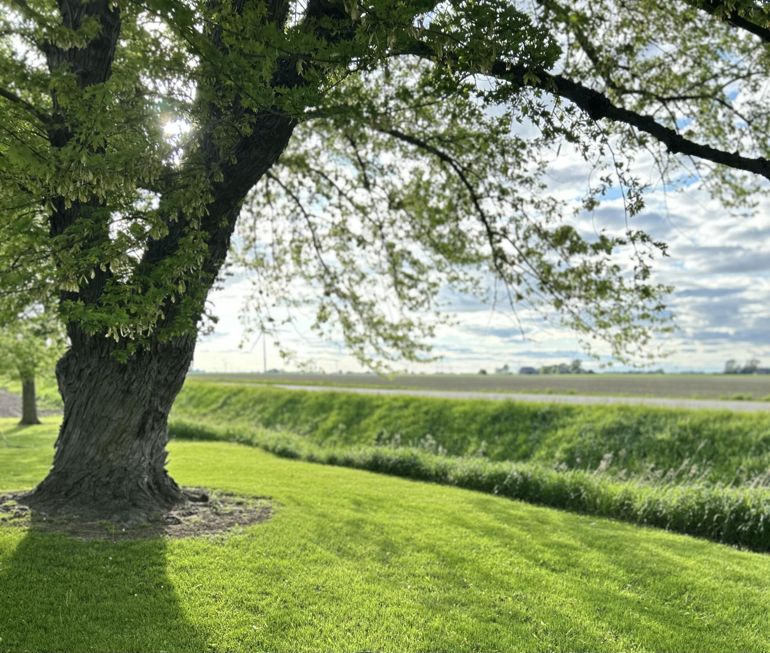 7755 McAlpin Road Owendale, MI 48754 - Photo 54 of 55 IMG_0959