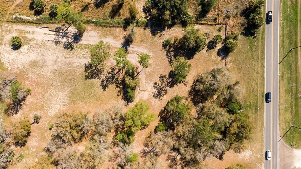 0 Northeast 36th Avenue Ocala, FL 34479 - Photo 11 of 35 a view of a tree