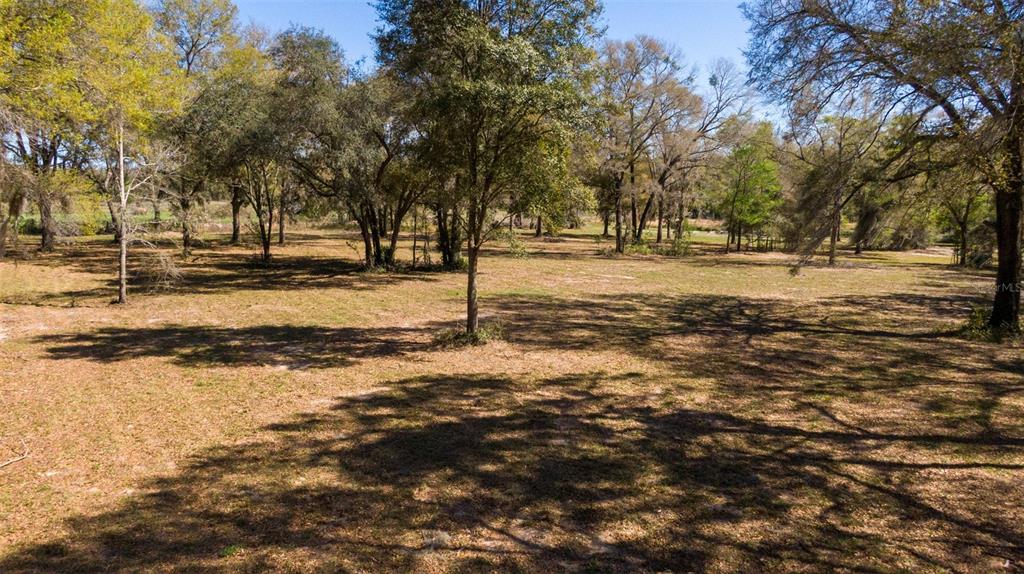 0 Northeast 36th Avenue Ocala, FL 34479 - Photo 13 of 35 a view of yard with trees