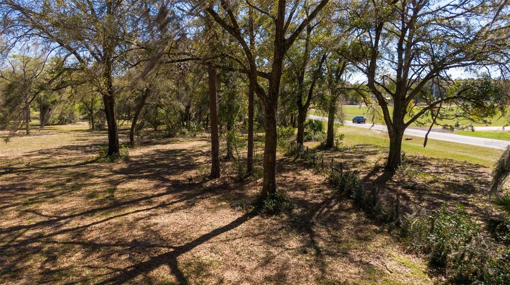 0 Northeast 36th Avenue Ocala, FL 34479 - Photo 14 of 35 a view of a yard with plants and trees