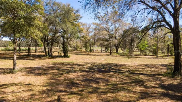 a view of outdoor space with trees