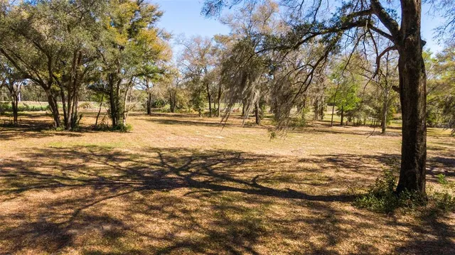 a view of road with tree